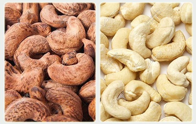 Peeled Cashew Nut