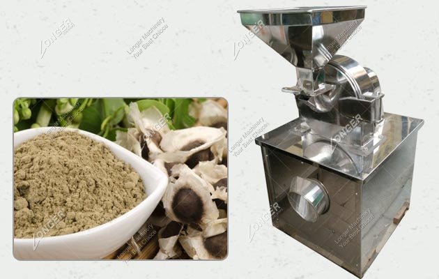 Moringa Seed Grinding Machine Manufacturer
