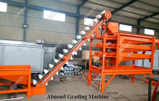 Almond Grading Shelling Machine Price