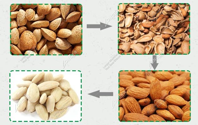 Almond Processing Steps