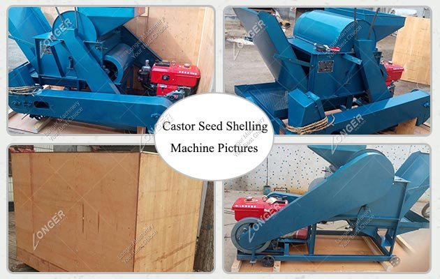 500 kg/h Castor Seed Shelling Machine Supplier