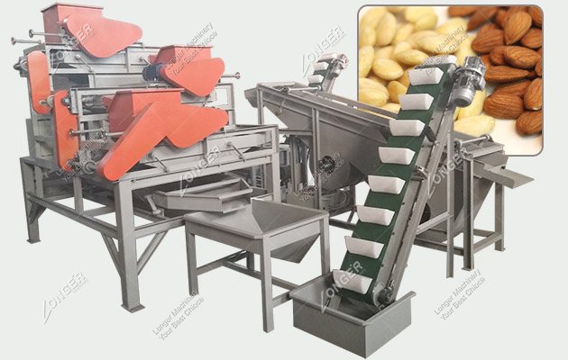1 Ton Large Almond Processing Machines Plant Cost in China