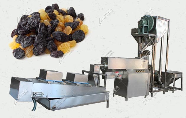 Raisin Cleaning Drying Machine|Processing Equipment Plant