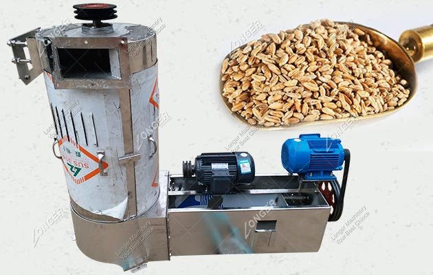 LGX30 Stainless Steel Wheat Seed Washing and Drying Machine Price