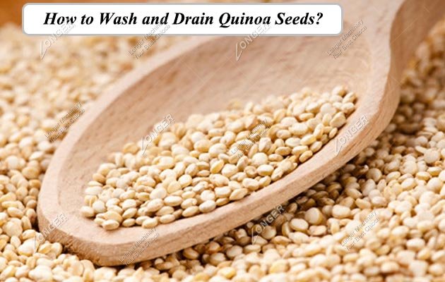 How to Wash and Drain Quinoa Seeds