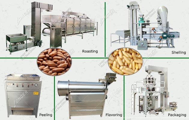 Fully Automatic Pine Nut Roasting Processing Machine Cost 500 KG