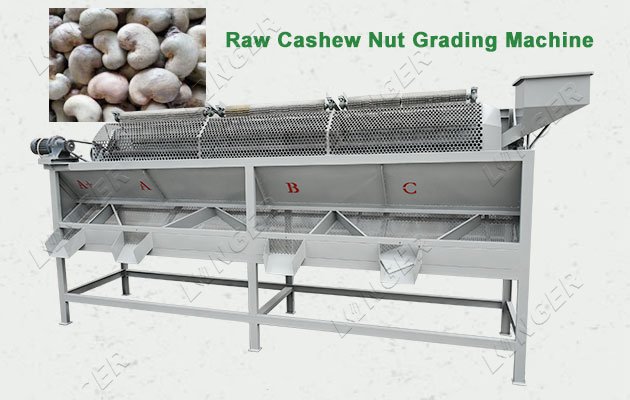 Raw Cashew Nut Grading Machine 400 kg/h