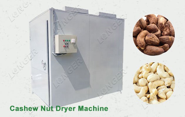 Steam Heating Cashew Nut Dryer Machine Supplier