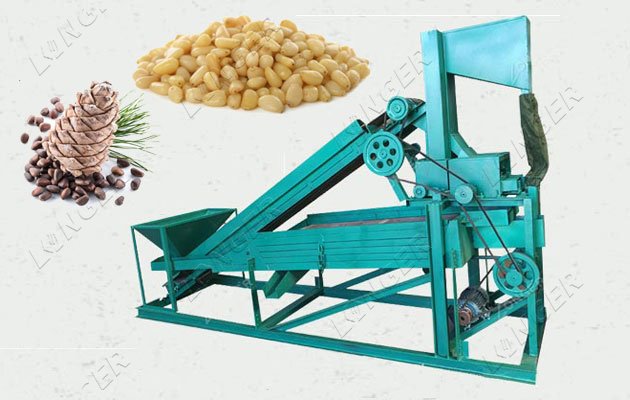 Small Pine Nuts Cracker Shelling Machine LONGER