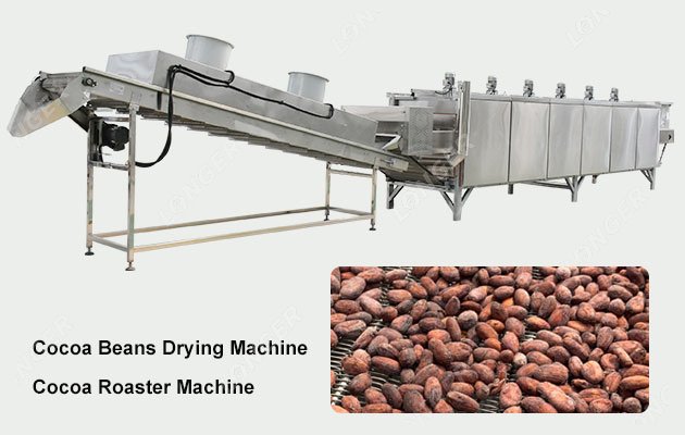 Continuous Cocoa Beans Drying Machine|Cacao Roaster LG-HLG8