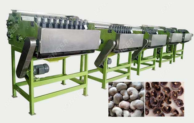 Raw Cashew Nut Cutting Machine 200 kg/h