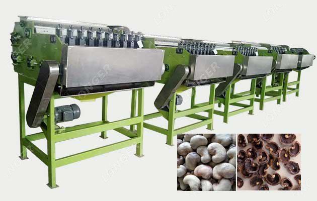 Automatic Green Walnut Peeling Machine  Nut Shelling Machine, Nut Roaster,  Nut Grinder