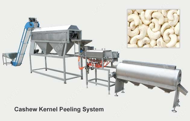Automatic Cashew Kernel Peeling Machine Price 200 KG/H