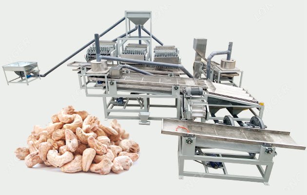 Fully Automatic Cashew Cutting Machine 500 kg/h