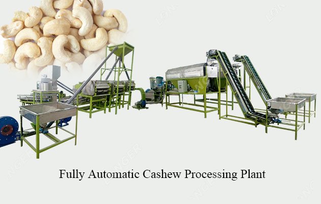 10 Ton Fully Automatic Cashew Processing Plant