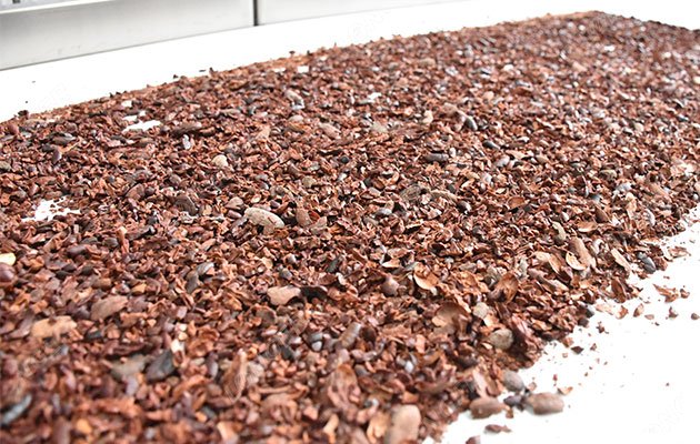 How to Start a Cocoa Processing Business