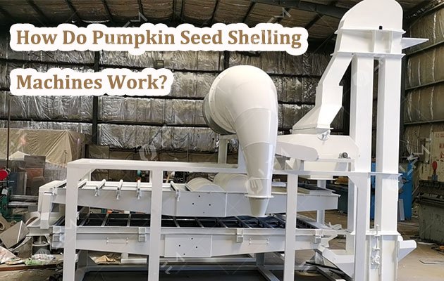 How Do Pumpkin Seed Shelling Machines Work?