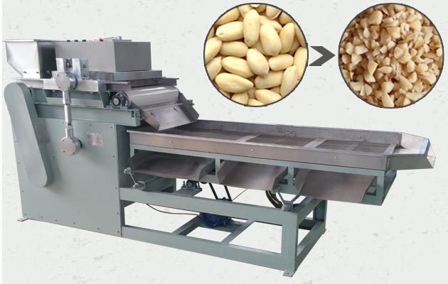 Hygienic Automatic Nut Chopper Shredder Machine 100-200 KG/H