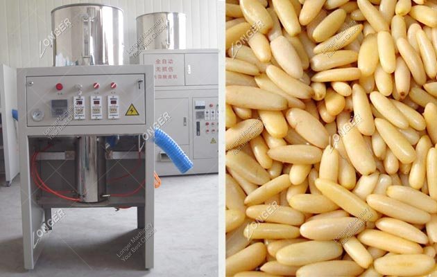 Roasted Pine Nut Peeling Machine