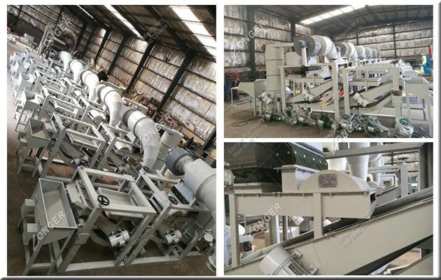 Industrial Sunflower Seed Processing Machine Plant