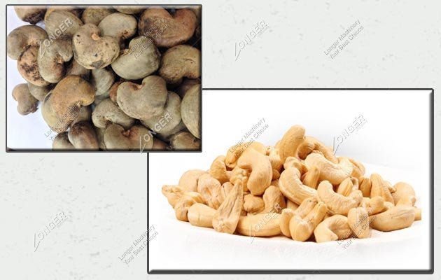 Cashew Nuts