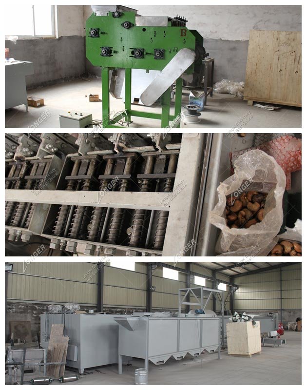 Automatic Cashew Nut Processing Plant