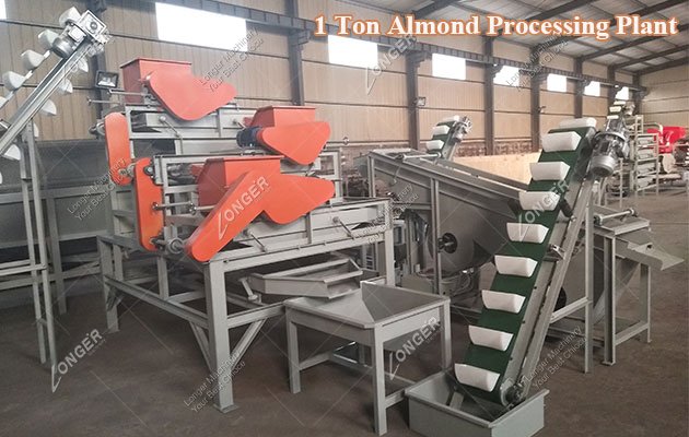 1 Ton Large Almond Processing Plant Cost