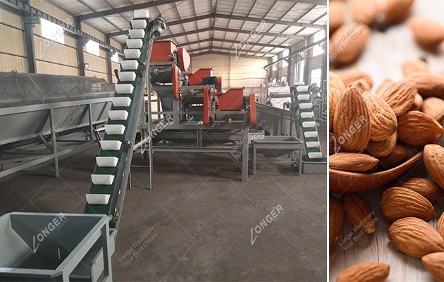 1 Ton Almond Processing Machines in China