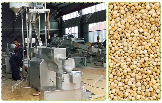 Automatic Quinoa Washing Drying Machine Factrory Price