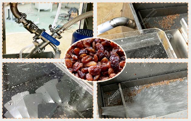 Automatic Raisin Washing and Drying Line for Sale