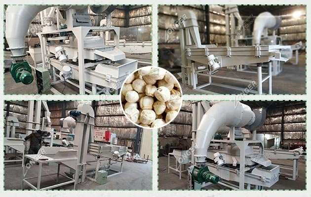 Good Quality Moringa Seed Shelling and Cleaning Machine