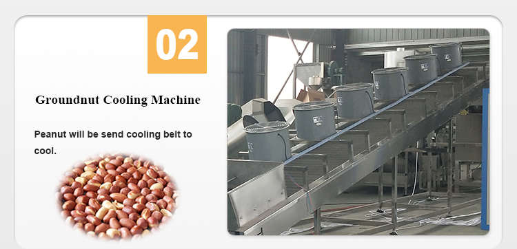Groundnut Seed Cooling Machine for Sale