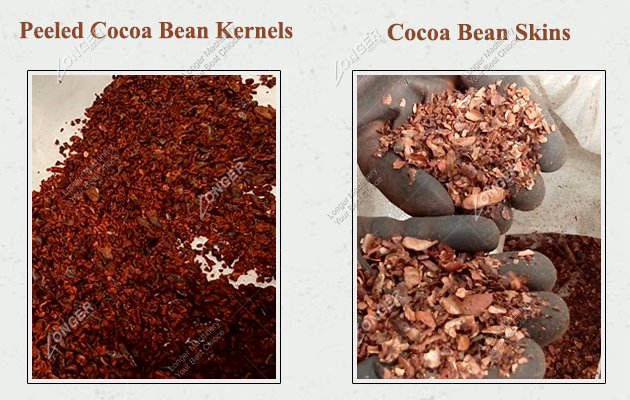 Peeled Cocoa Beans