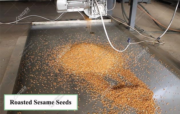 Sesame Roasting and Cooling Machine for Sale