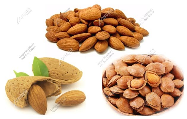 How to Crack Almond Shell Quickly