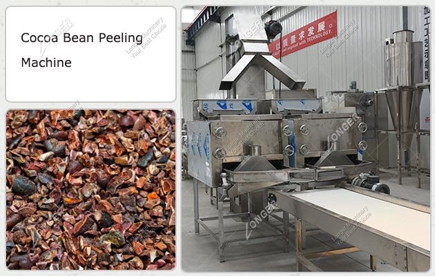 500 KG Cocoa Bean Processing Machine - Peeling