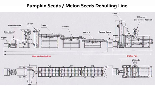 High Quality Watermelon Seeds Dehulling Machine