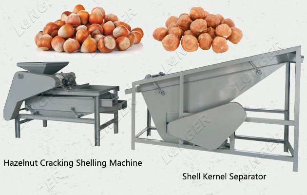 LONGER Hazelnut Cracking and Separating Machine