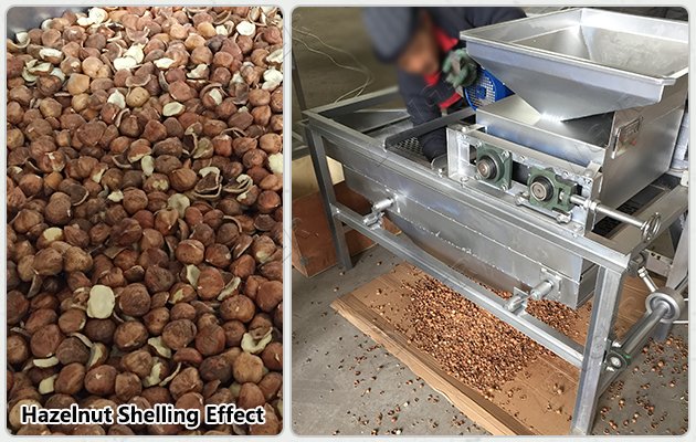 Semi-automatic Hazelnut Shelling Line for Sale