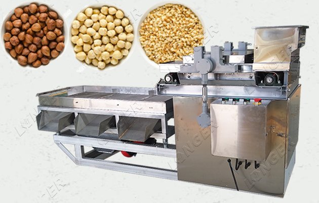 Automatic Hazelnut Kernel Cutting Machine