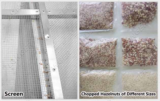 Roasted Hazelnut Chopping Machine Price