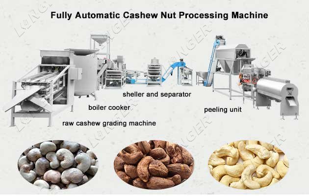 5 TPD Cashew Nut Processing Machinery Production Line Price