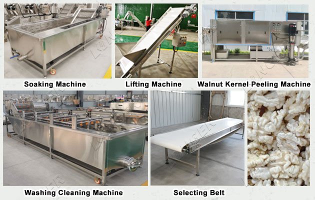 Walnut Kernel Peeling Cleaning Machine for Sale