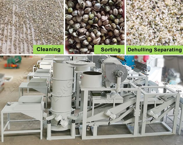 Hemp Seed Separating and Sorting Machine Supplier