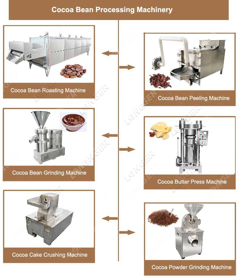 Cocoa Bean Processing Machine Manufacturer