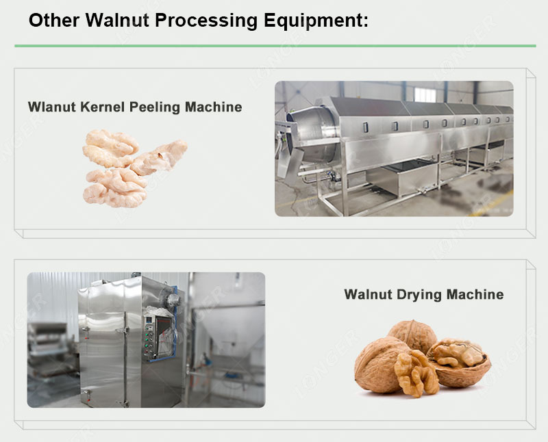 High Quality Walnut Processing Equipment for Sale