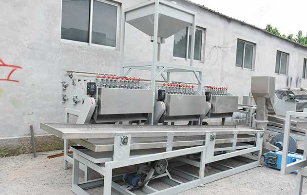 Complete Cashew Nut Cutting Machine for Sale
