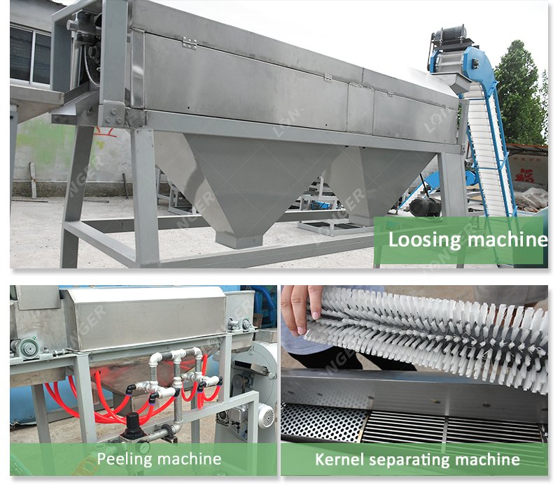 Automatic Cashew Peeling Machine System
