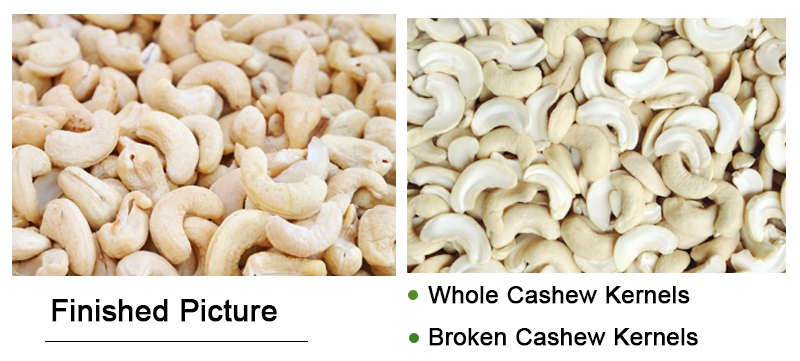 Good Cashew Peeling Machine Price