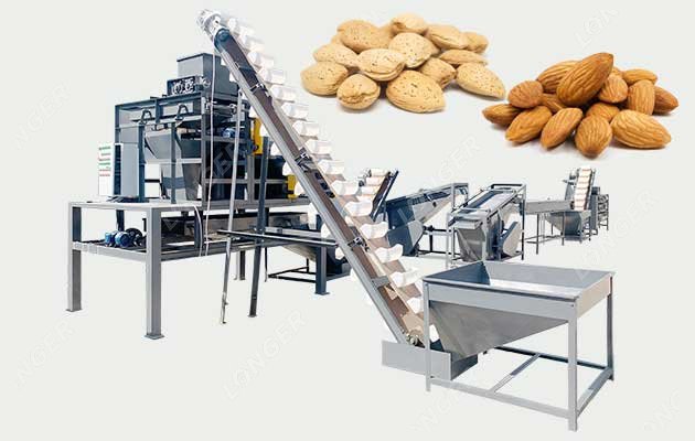 1 T/H Almond Hulling and Grading Machine for Sale